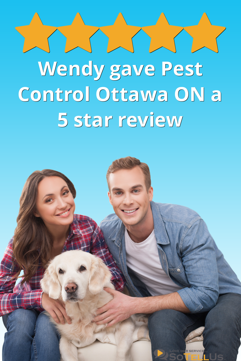 Wendy F gave Pest Control Ottawa Inc. a 5 star review on SoTellUs