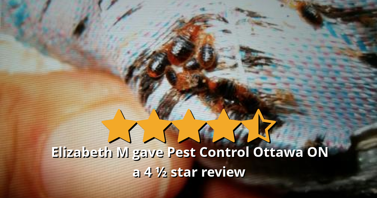 Elizabeth M gave Pest Control Ottawa Inc. a 4.5 star review on SoTellUs