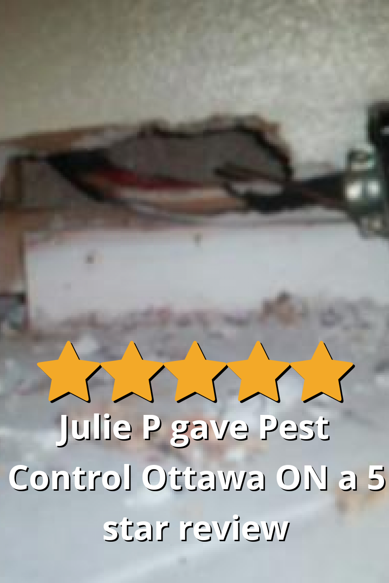 Julie P gave Pest Control Ottawa Inc. a 5 star review on SoTellUs