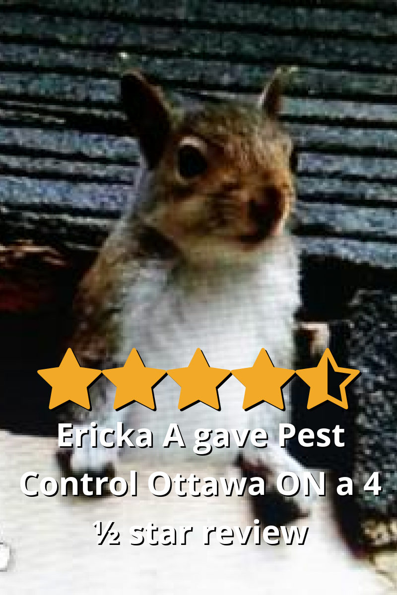 Ericka A gave Pest Control Ottawa Inc. a 4.5 star review on SoTellUs