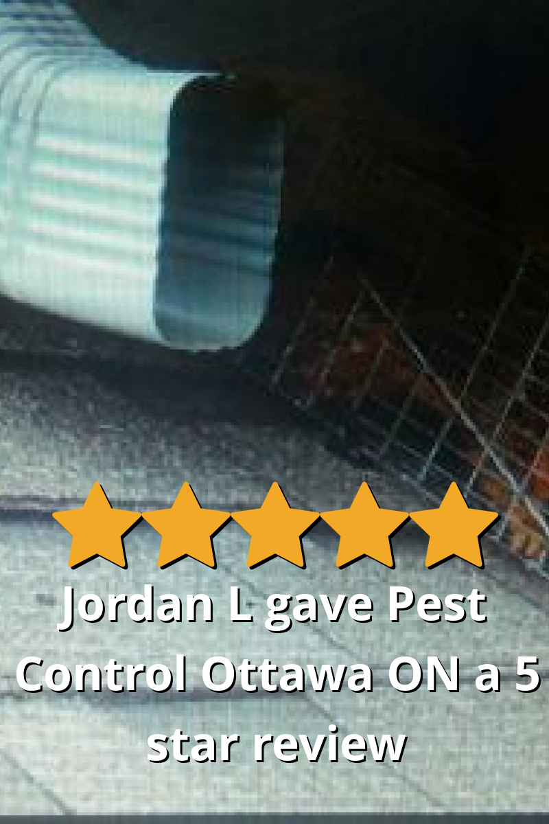 Jordan L gave Pest Control Ottawa Inc. a 5 star review on SoTellUs