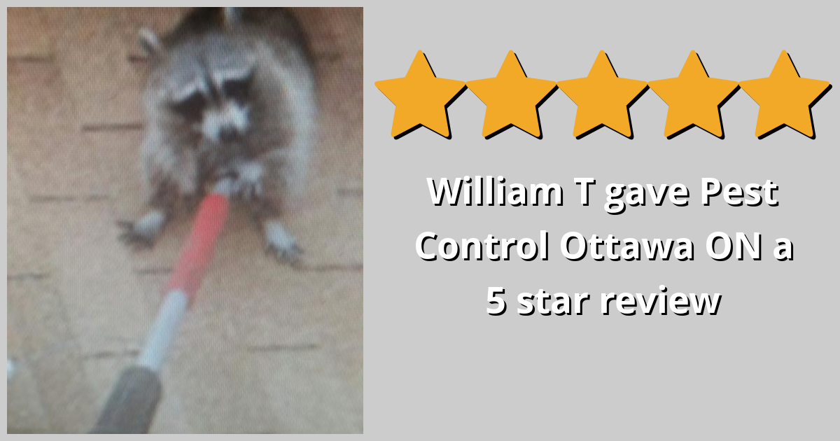 William T gave Pest Control Ottawa Inc. a 5 star review on SoTellUs