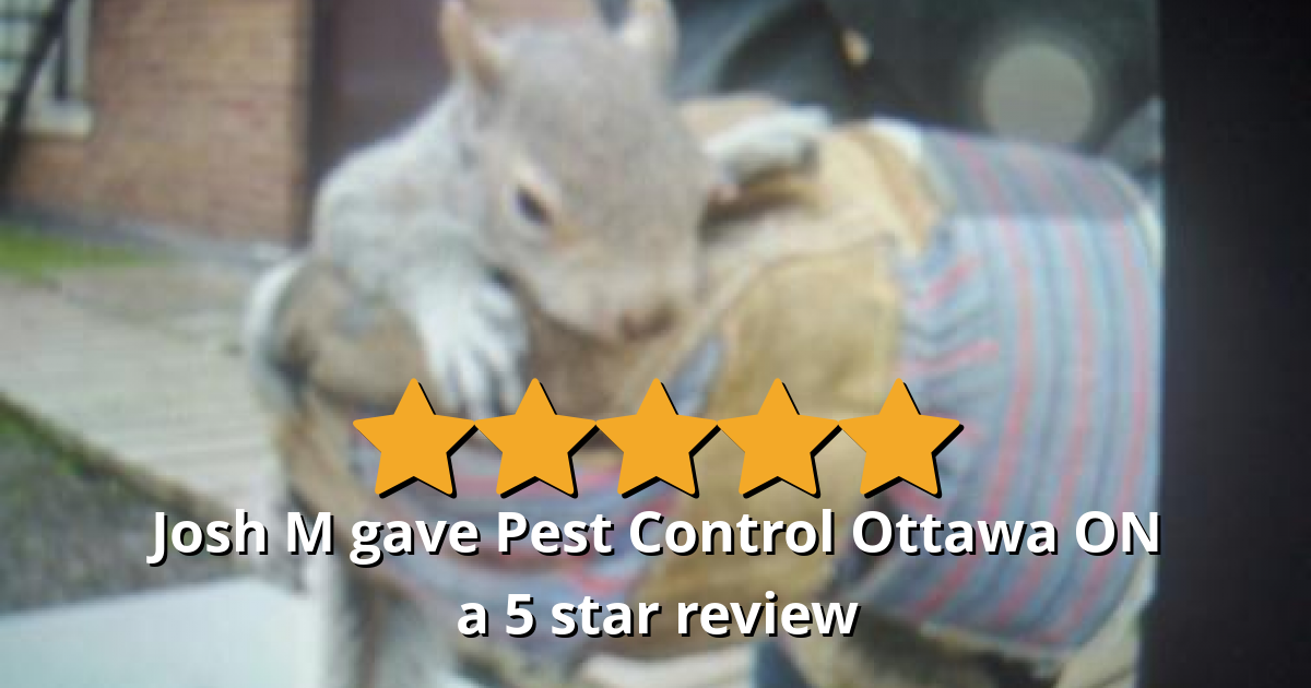 Josh M gave Pest Control Ottawa Inc. a 5 star review on SoTellUs