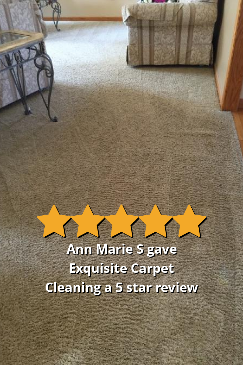 Ann Marie S gave Exquisite Carpet Cleaning a 5 star review on SoTellUs