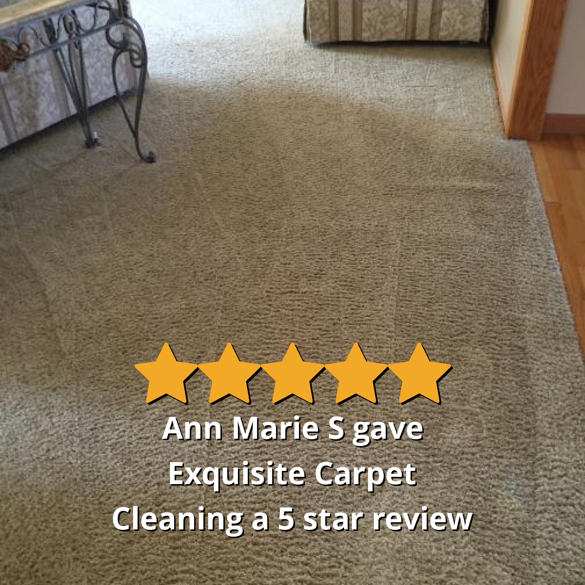 Ann Marie S gave Exquisite Carpet Cleaning a 5 star review on SoTellUs