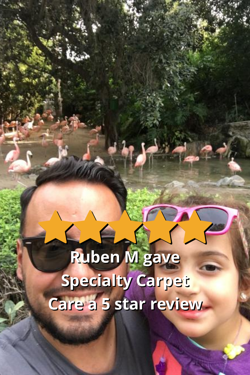 Ruben M gave Specialty Carpet Care a 5 star review on SoTellUs