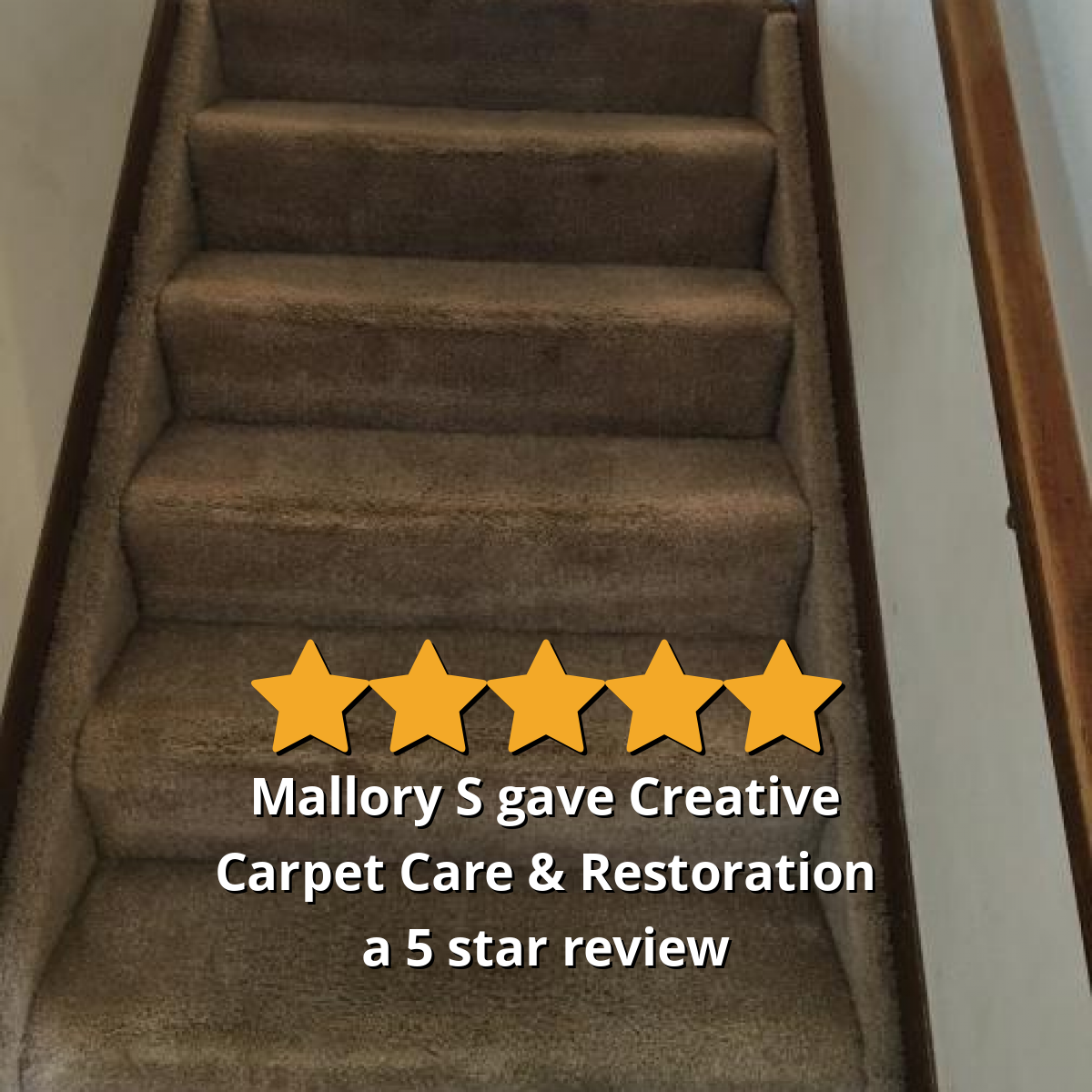 Mallory S gave Creative Carpet Care & Restoration a 5 star review