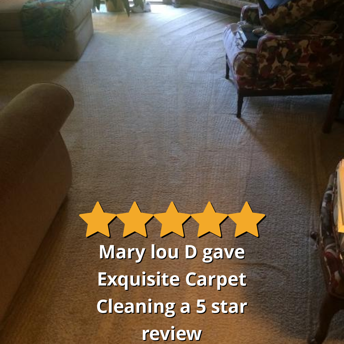 Mary lou D gave Exquisite Carpet Cleaning a 5 star review on SoTellUs