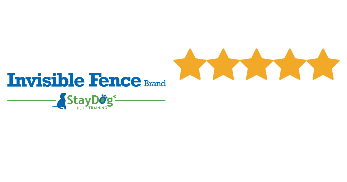 Judy T gave Invisible Fence by Staydog a 5 star review on SoTellUs