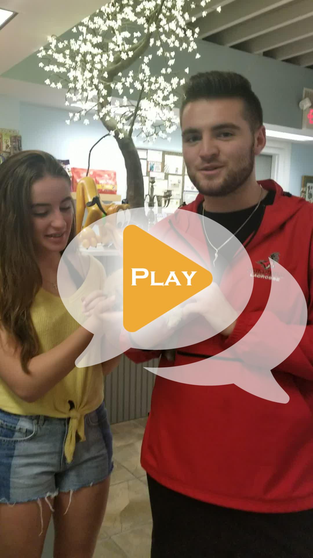 bow wow babies puppy prices