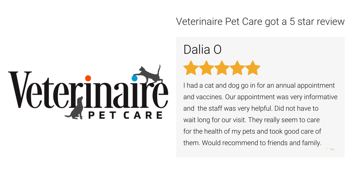 dalia-o-gave-veterinaire-pet-care-a-5-star-review-on-sotellus