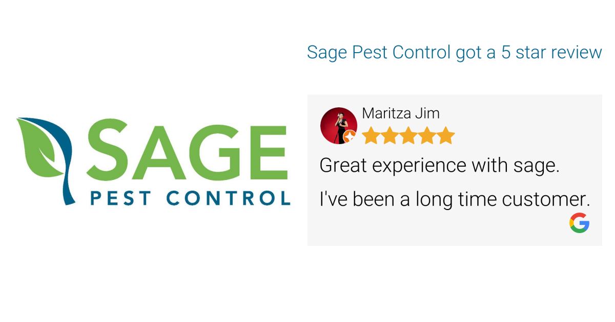 Maritza Jim gave Sage Pest Control a 5 star review on SoTellUs