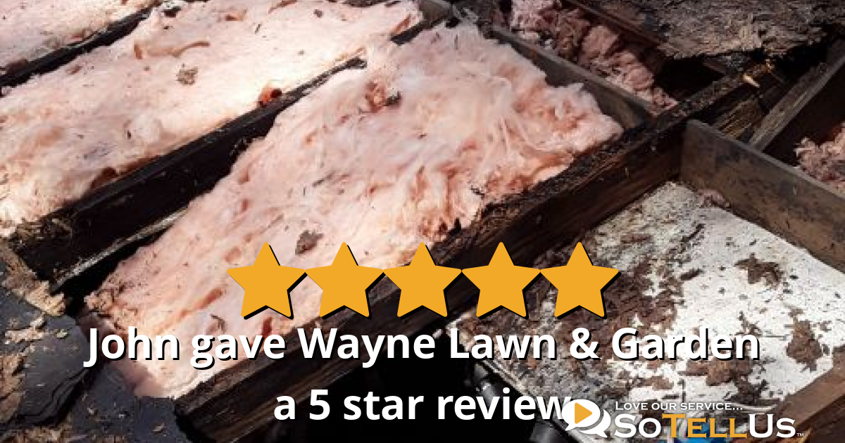 John L gave Wayne Lawn & Garden a 5 star review on SoTellUs