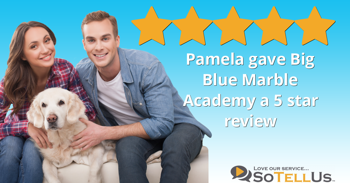 Pamela R Gave Big Blue Marble Academy A 5 Star Review On Sotellus 9250