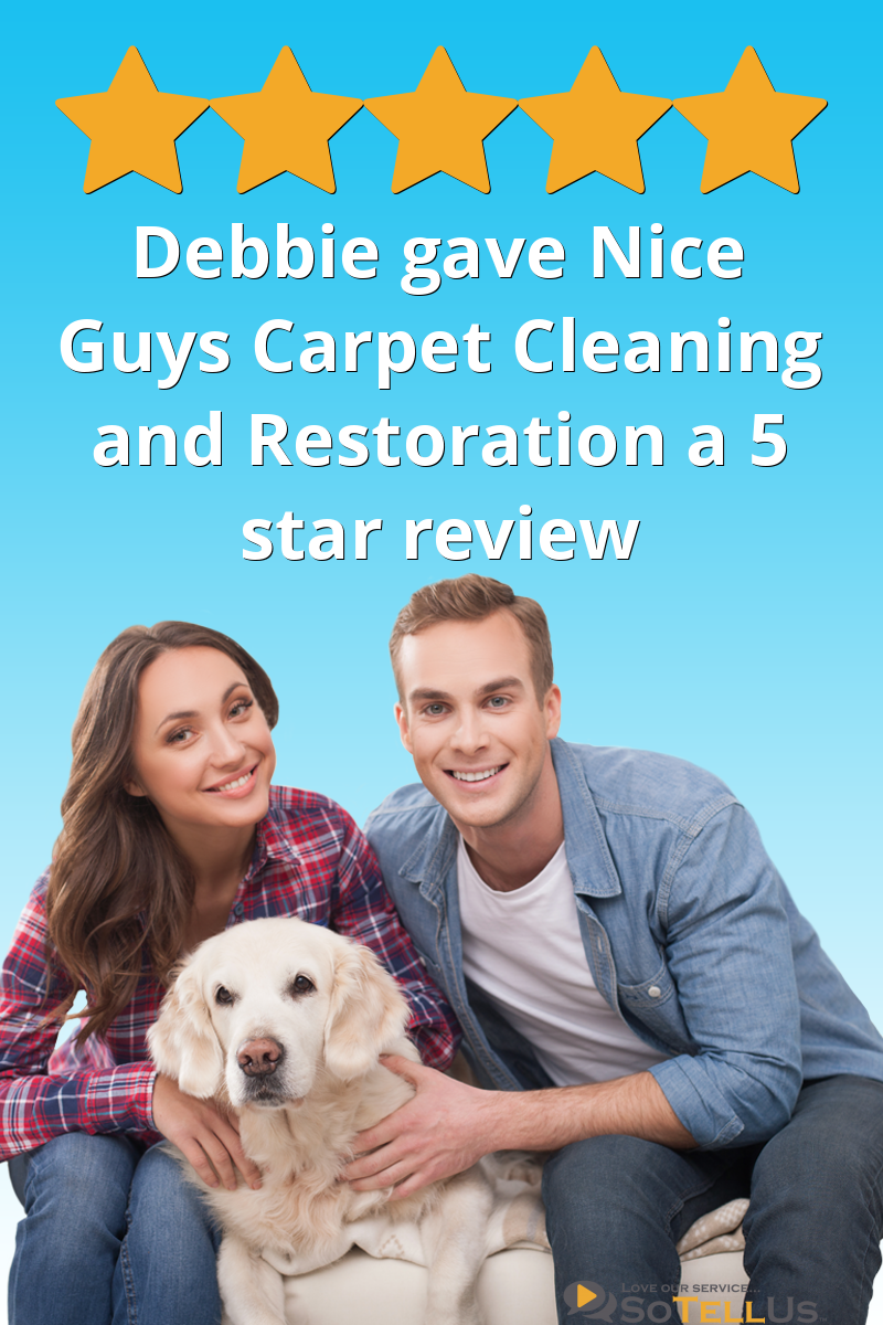 Debbie W gave Nice Guys Carpet Cleaning and Restoration a 5 star review